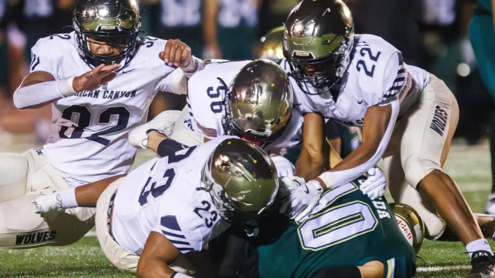 6906fb8fca3ef-image_