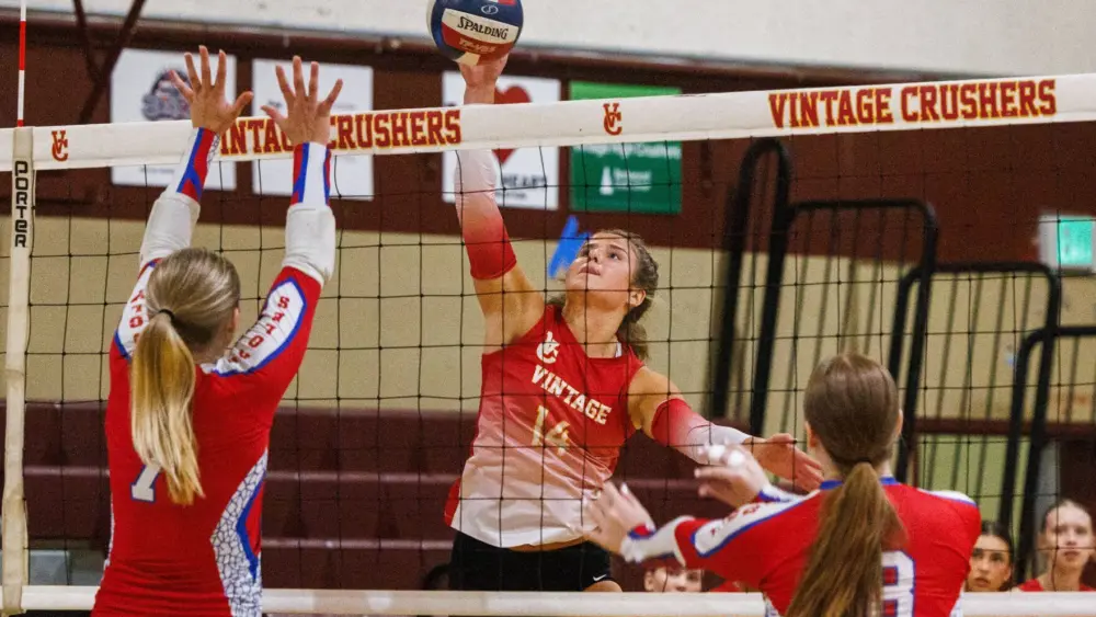 6901984e7cc8c-image_