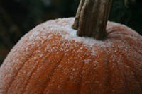 frost-on-the-pumpkin