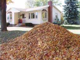 leaves-pile