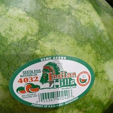 watermelon-sticker
