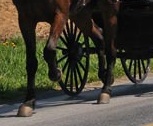 horse-and-buggy-hooves-and-wheels