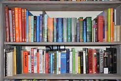 books-on-a-shelf