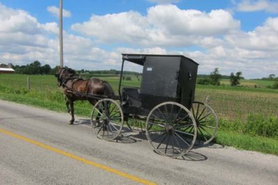 amish-horse-and-buggy