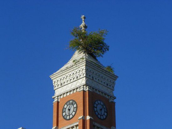 greensburg-tower-tree3-550x413