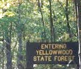 yellowood-state-forest