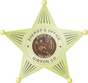 gibson-county-sheriff-star