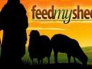 feed-my-sheep