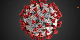 coronavirus