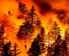 https___cdn-cnn_-com_cnnnext_dam_assets_200912192354-03-wildfires-0911-california-restricted