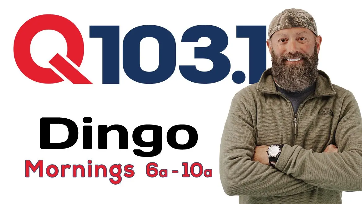 wqnu-website-dingo-1