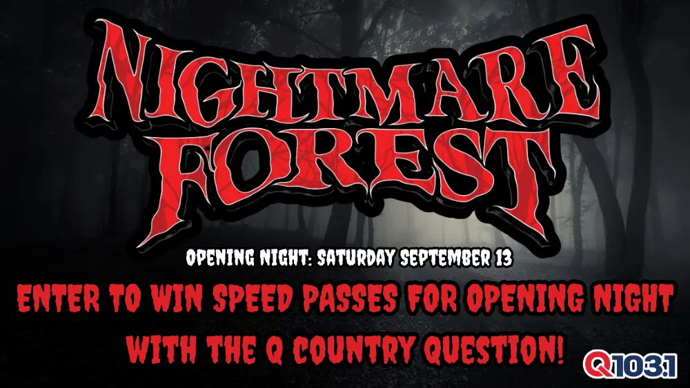 wvez-nightmare-forest-web-contest-2024-2-2