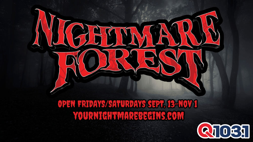 Berry's forest Ghost's Castle 森 Berry's forest, Ghost's castle 森 mysterious-gothic-style-castle