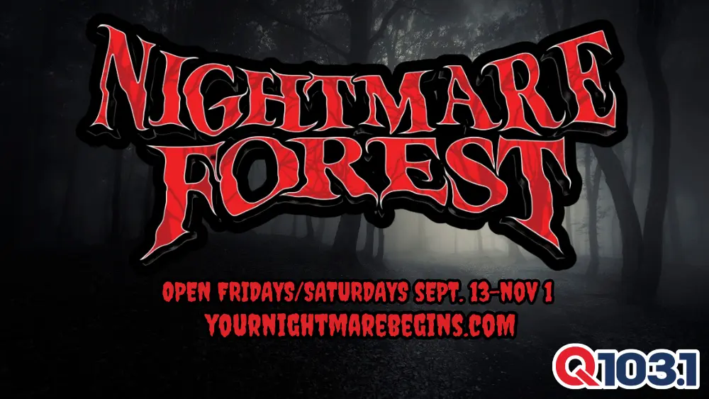 wsfr-nightmare-forest-2024-10