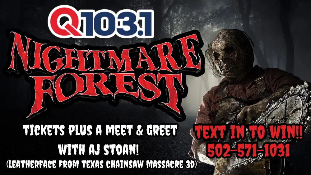 wsfr-nightmare-forest-web-contest-2024-4-2
