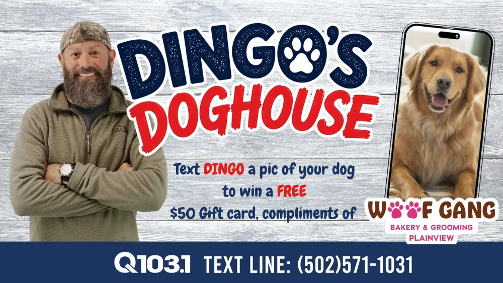 dingos-doghouse