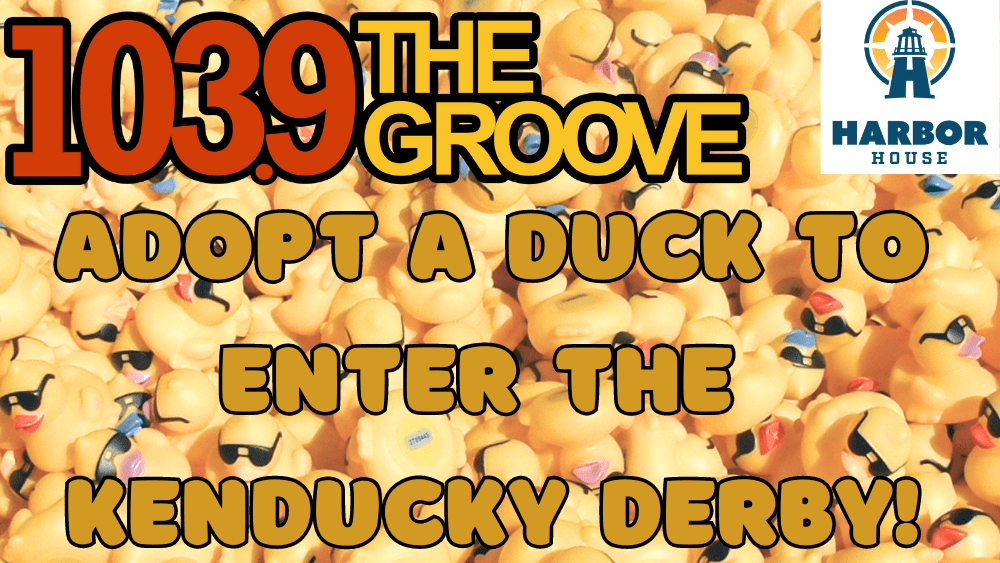 adopt-a-duck-to-enter-the-kenducky-derby-2