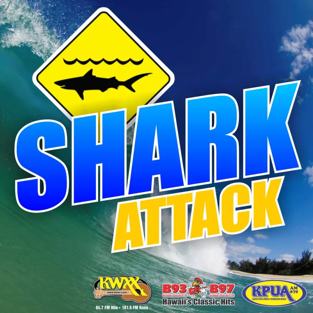 sharkattack-jpg-3