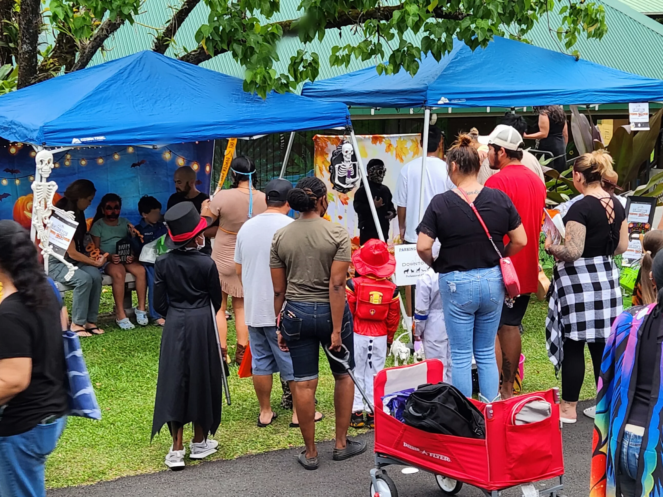 halloween-22boo22-hawaii-county-photo-jpg-3