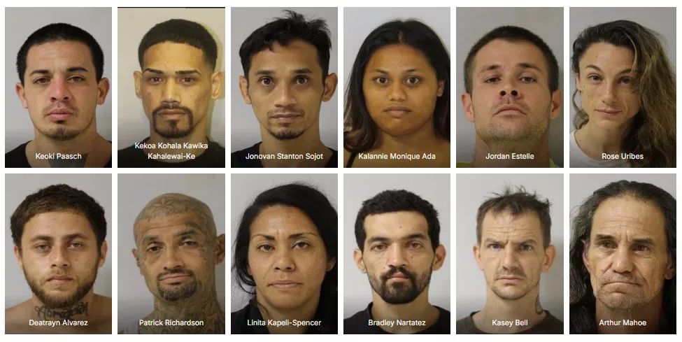 puna-sweep-hpd-photo-png-3