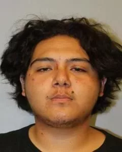 akira-kauilani-hpd-photo-jpeg-2