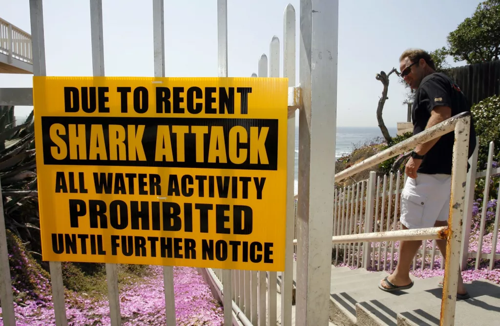 shark-attack-alert-sign-ap-photo-jpg-2