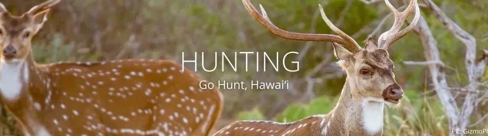 hunting-banner-jpg-3