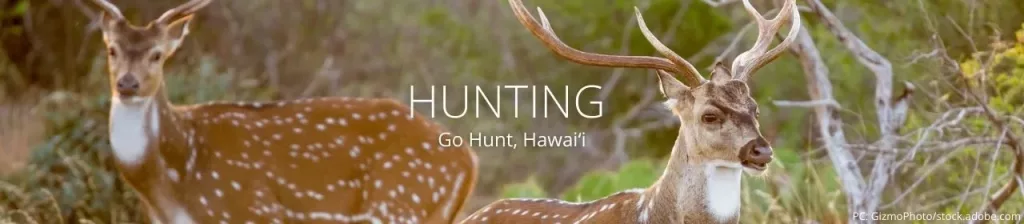 hunting-banner-jpg-3