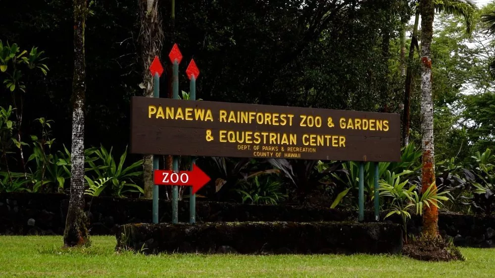 panawea-rainforest-and-zoo-photo-jpg-6