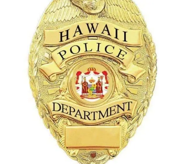 thumbnail_hpd-badge-gold-jpg-407