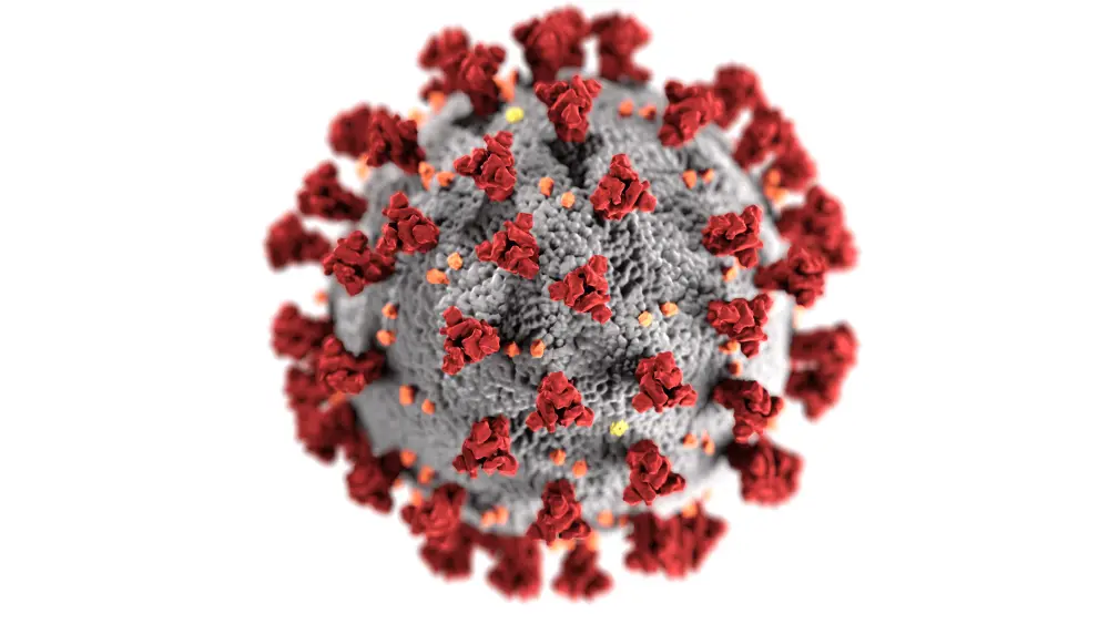 covid-virus-white-back-png-60