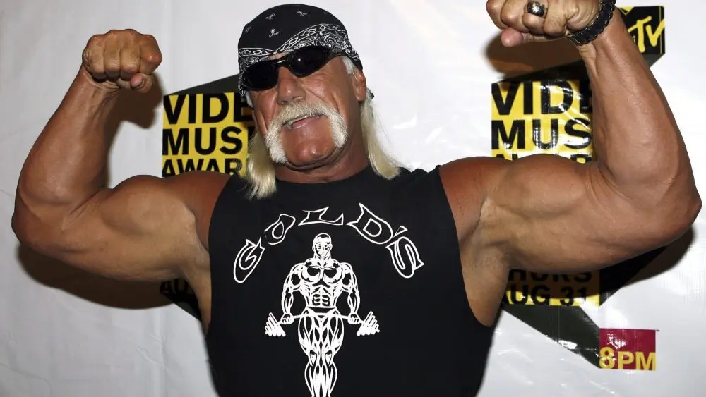 hulk-hogan-ap-photo-jpg-4
