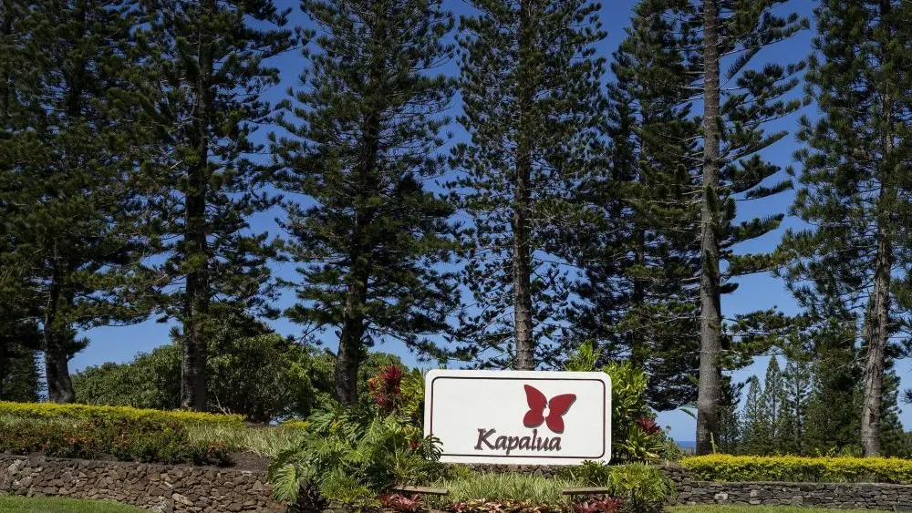 kapalua-golf-maui-ap-photo-jpg-2