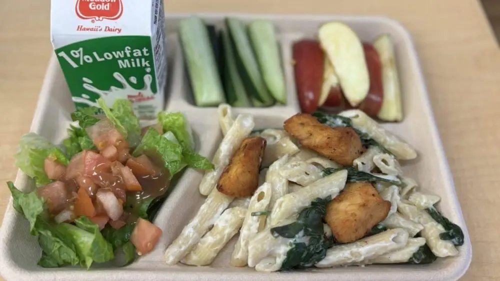 school-lunch-doe-jpeg-3