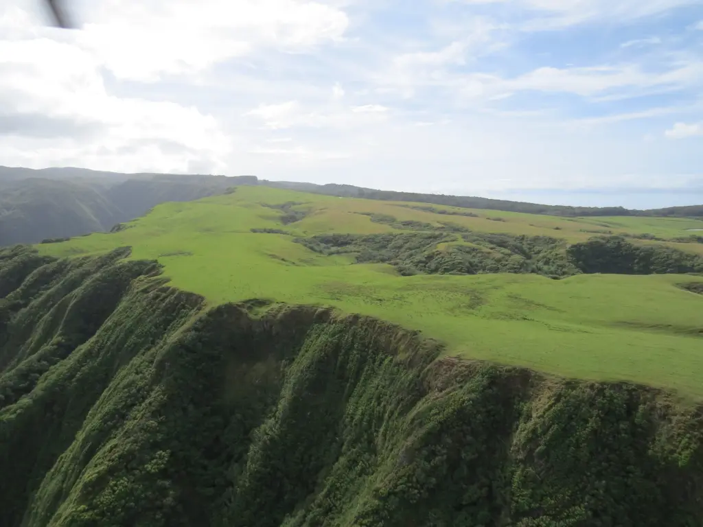 axis-deer-on-private-land-molokai-north-shore-2