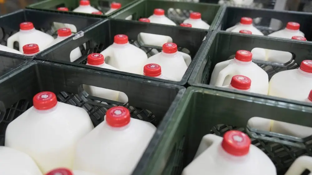 sf-food-bank-ap-photo-jpg-6