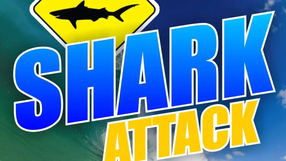 sharkattack-jpg-4