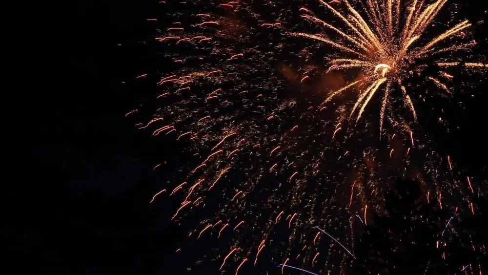 nye-fireworks-hpd-photo-jpg-3