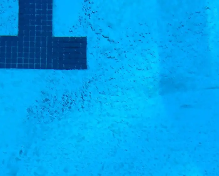 pahoa-ash-hawaii-county-photo-jpeg-3