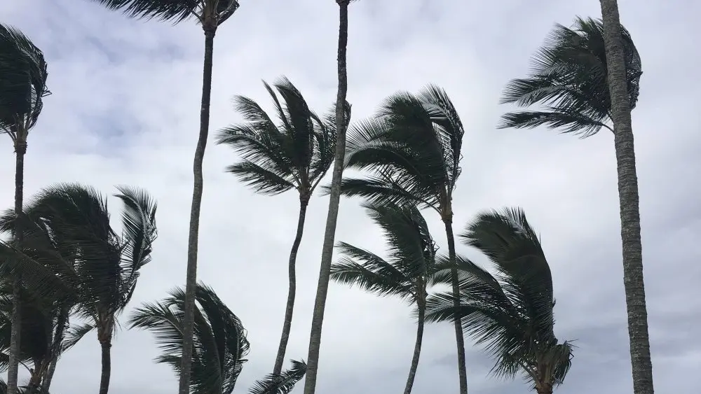 big-island-wind-jpeg-12