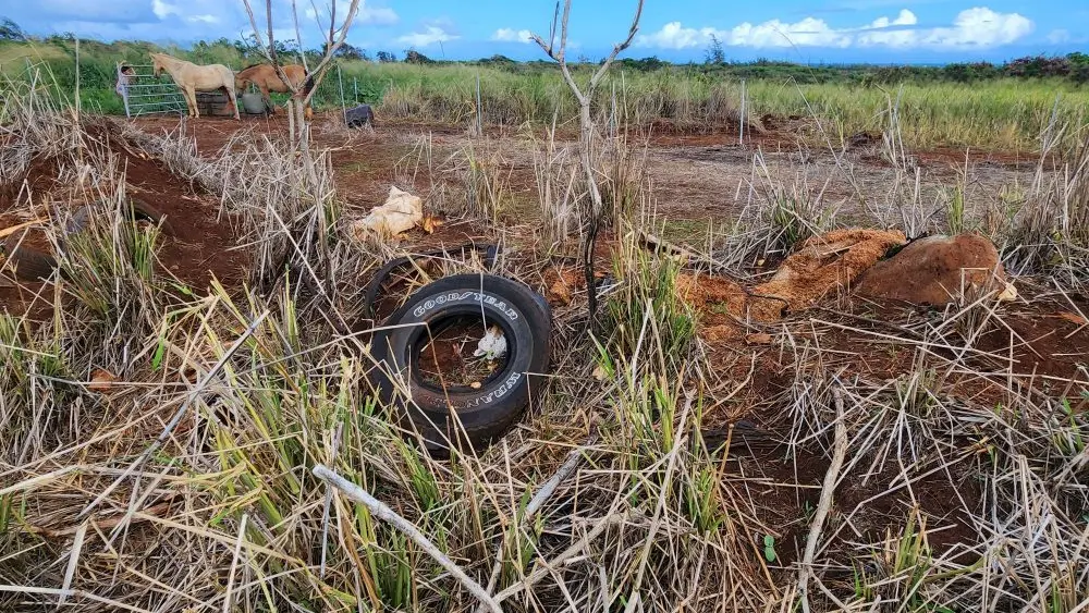 wildlife-mitigation-project-state-of-hawaii-jpg-3