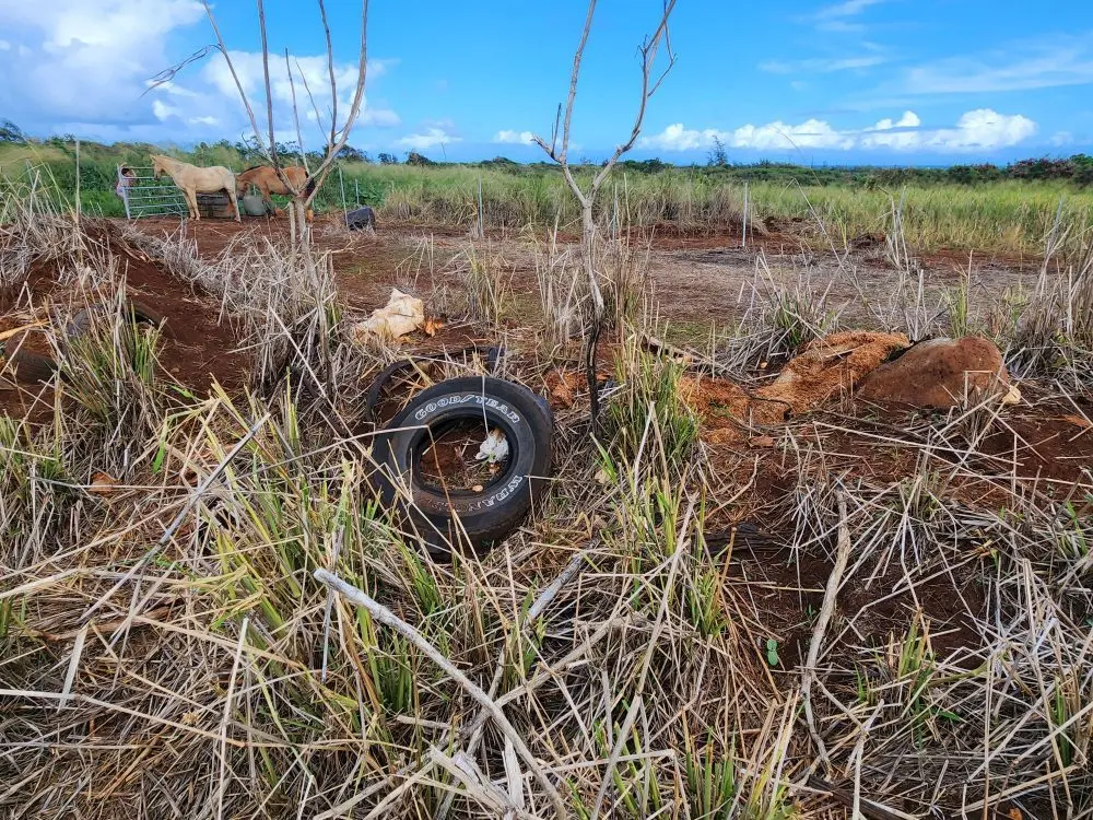 wildlife-mitigation-project-state-of-hawaii-jpg-3