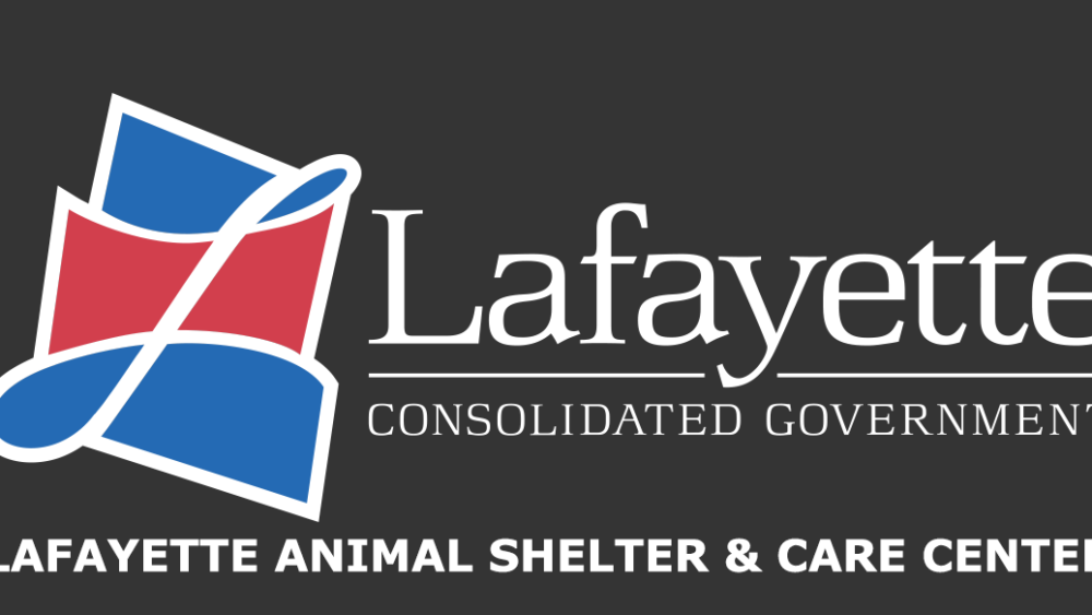 lcg-animal-aid