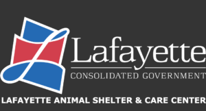 lcg-animal-aid