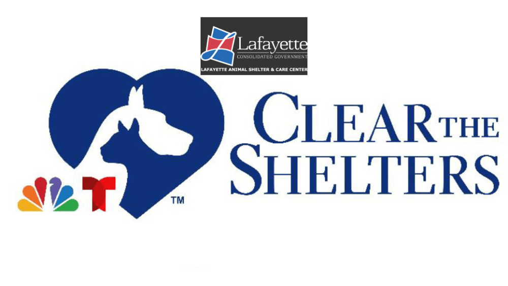 clear-the-shelters
