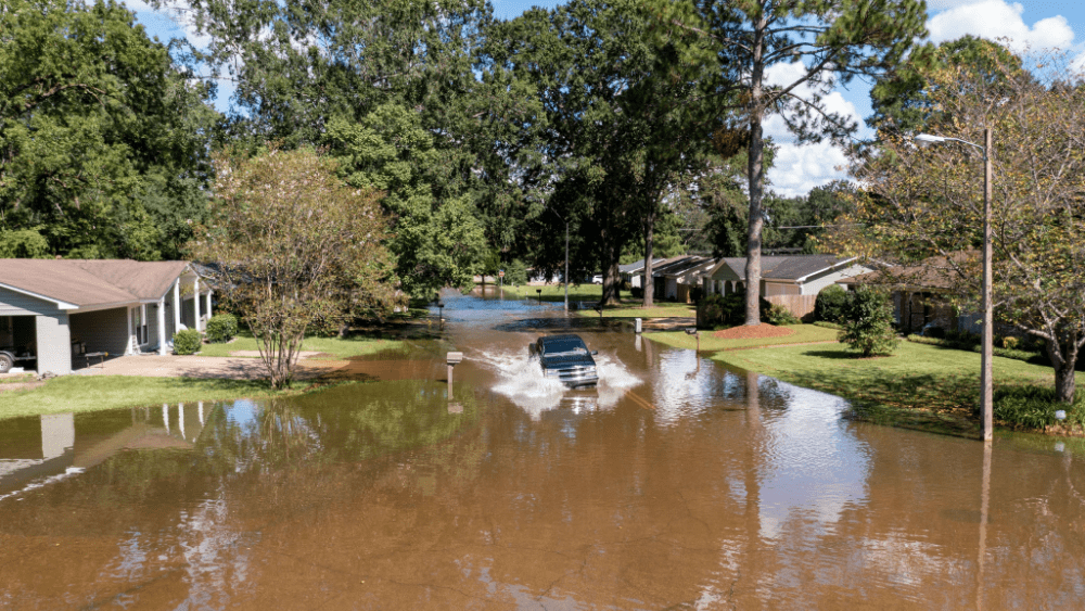 shutterstock_2195176553-png