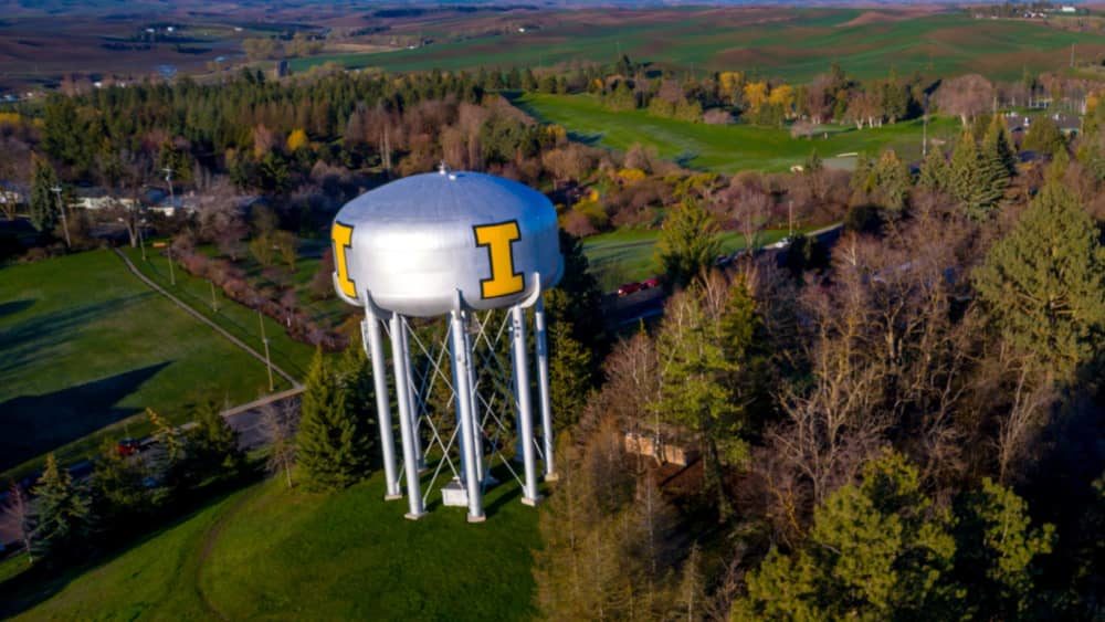 shutterstock_708253150-jpg