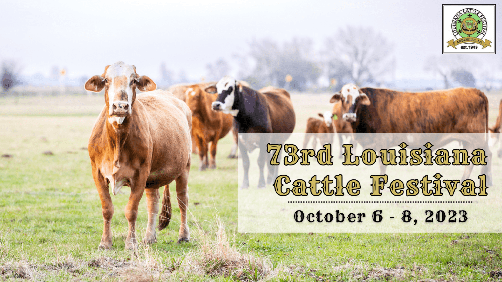 la-cattle-festival