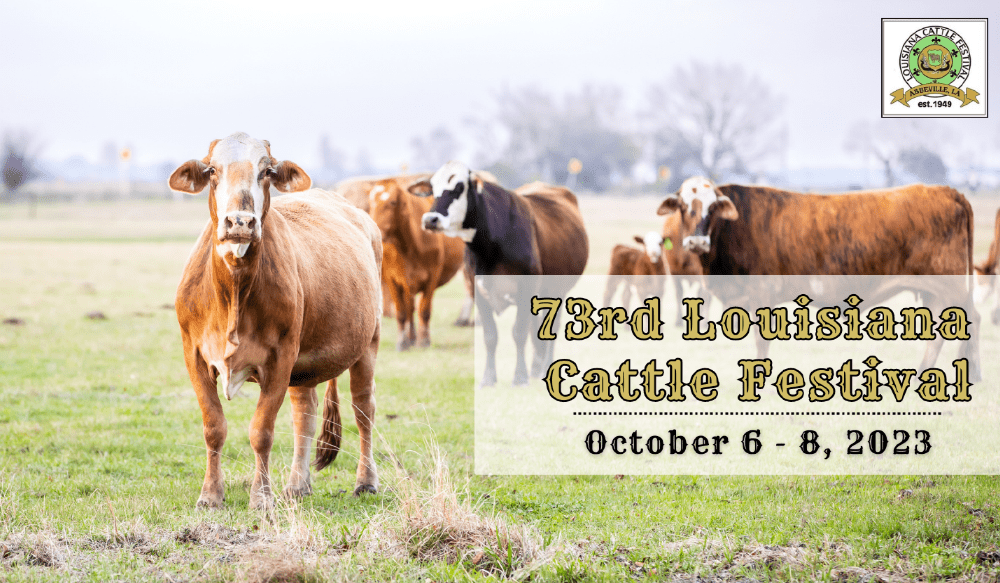 Louisiana Cattle Festival October 6th8th Freedom 95.1