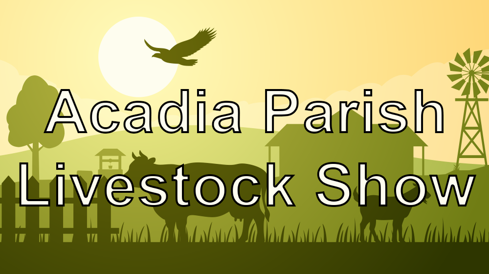 acadia-parish-livestock-show